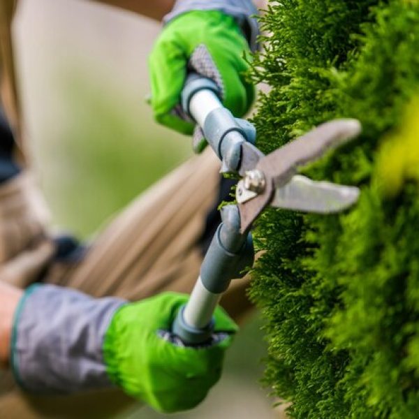 trabalhador-de-paisagismo-e-jardinagem-com-uma-tesoura-nas-maos_906478-331