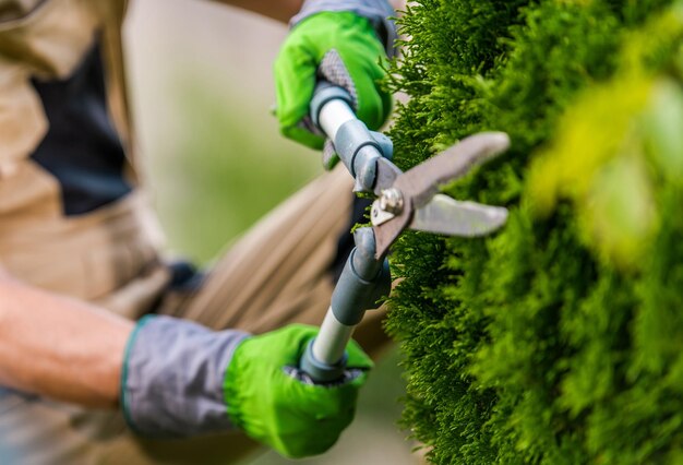 trabalhador-de-paisagismo-e-jardinagem-com-uma-tesoura-nas-maos_906478-331